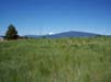 ViewFromProperty7